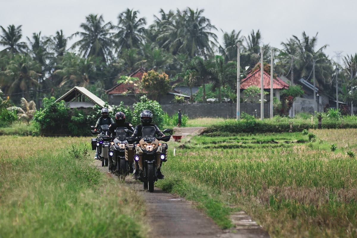 Motorcycle riders on a track through rice fields
